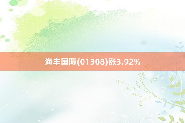 海丰国际(01308)涨3.92%